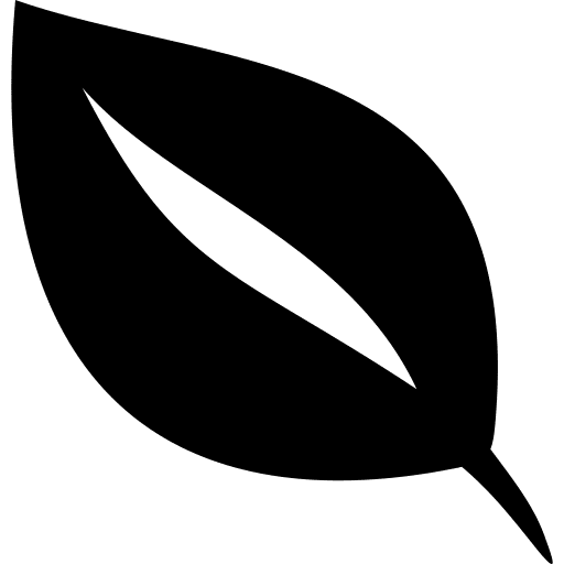 zuinig icoon