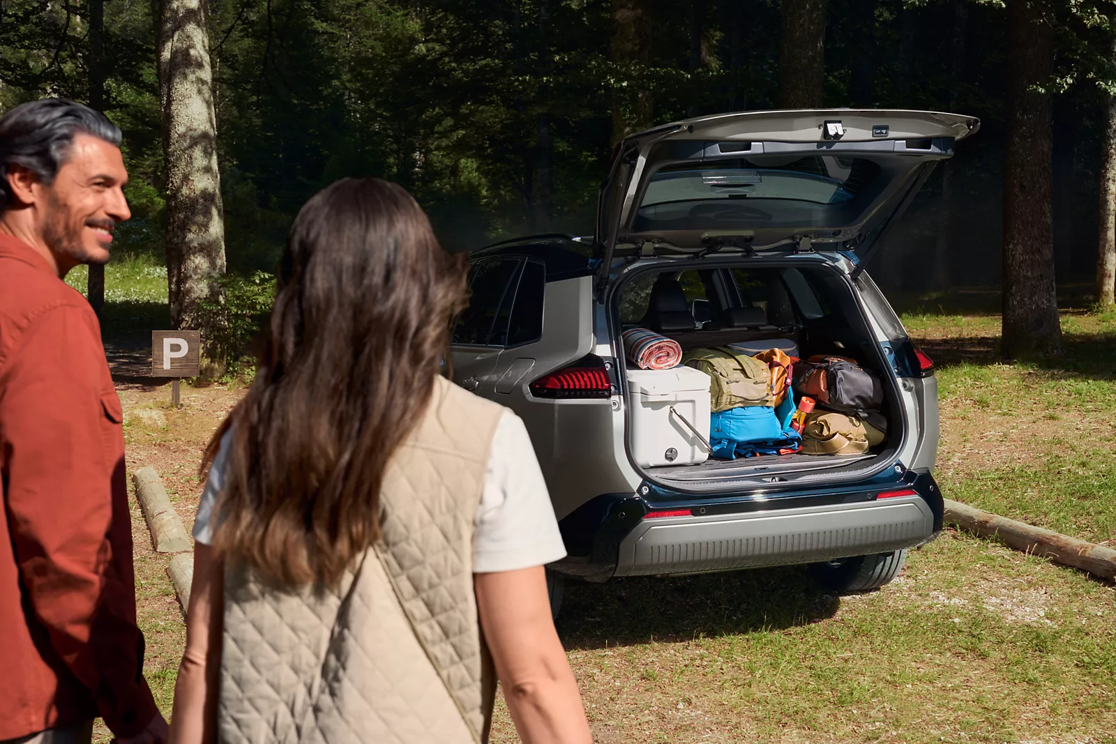 Toyota RAV4 PHEV