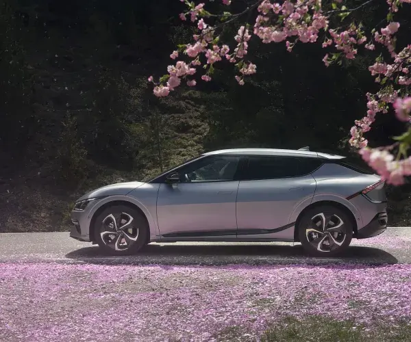 ev6 zijkant blossom