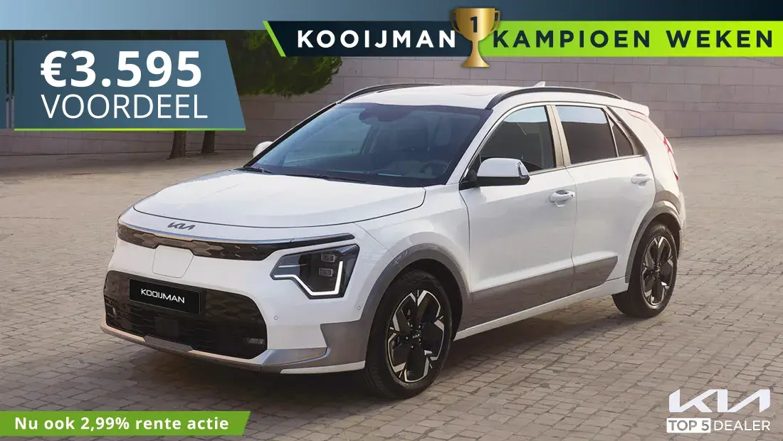 Actie niro ev