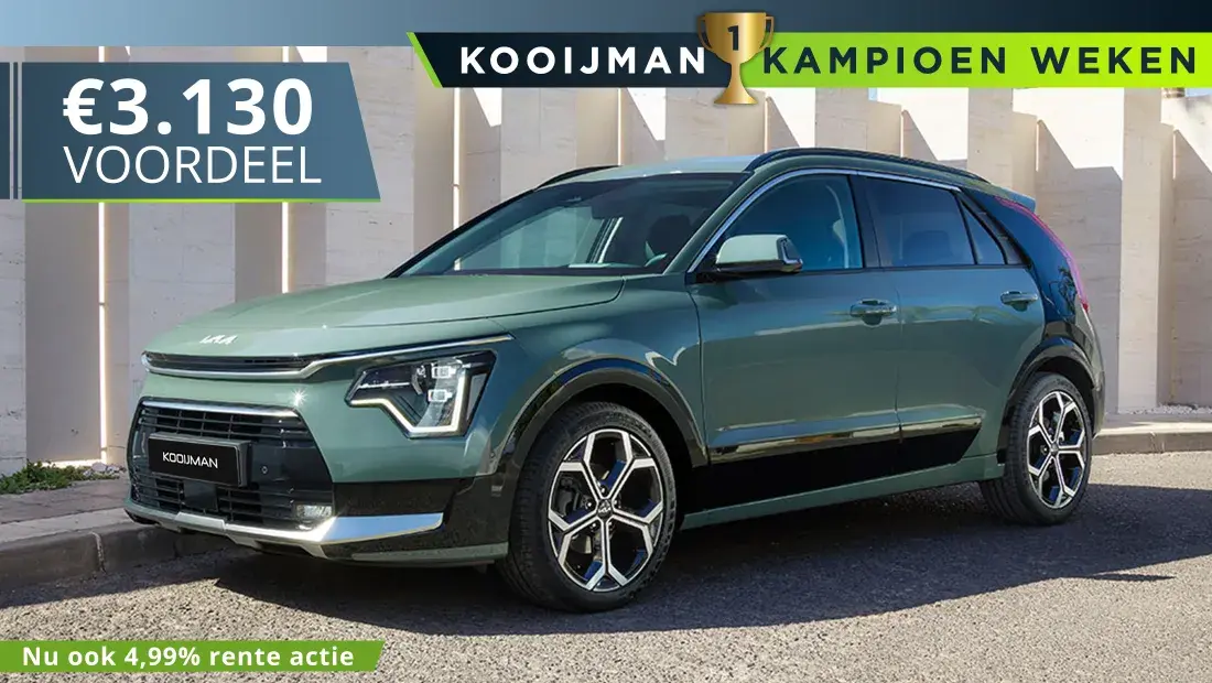 Actie niro hybrid
